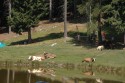 0_3010673_86821.jpg